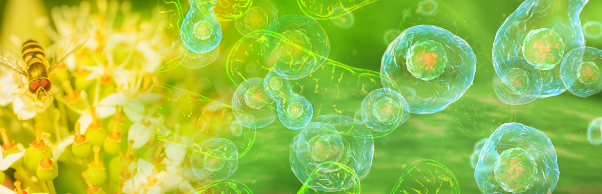 Fluoresciences - Biologie. Cours, exercices et méthodes