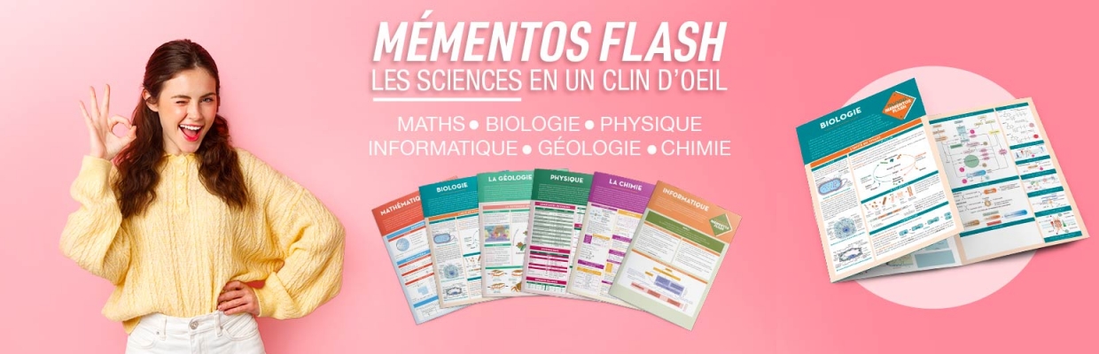 Mémentos Flash : le secret des étudiants bien préparés 