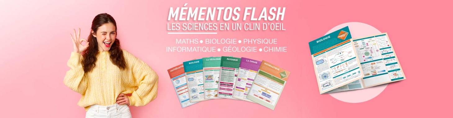 Mémentos Flash : le secret des étudiants bien préparés 