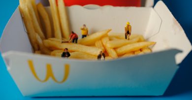 Boîte de frites