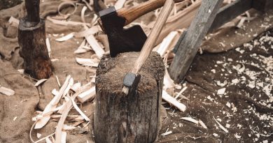 bûche de bois avec deux haches